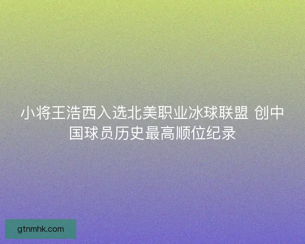 小将王浩西入选北美职业冰球联盟 创中国球员历史最高顺位纪录