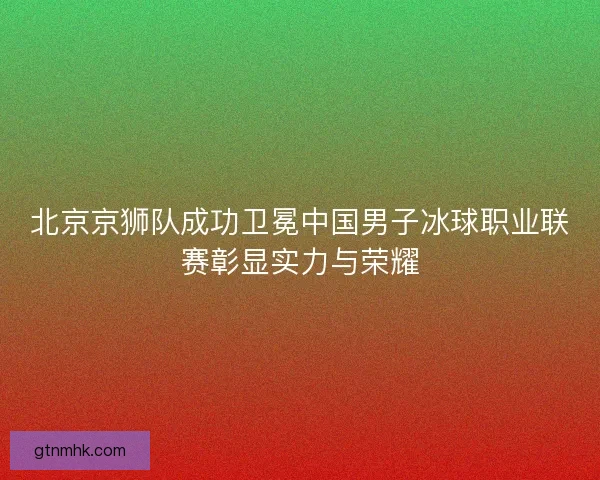北京京狮队成功卫冕中国男子冰球职业联赛彰显实力与荣耀